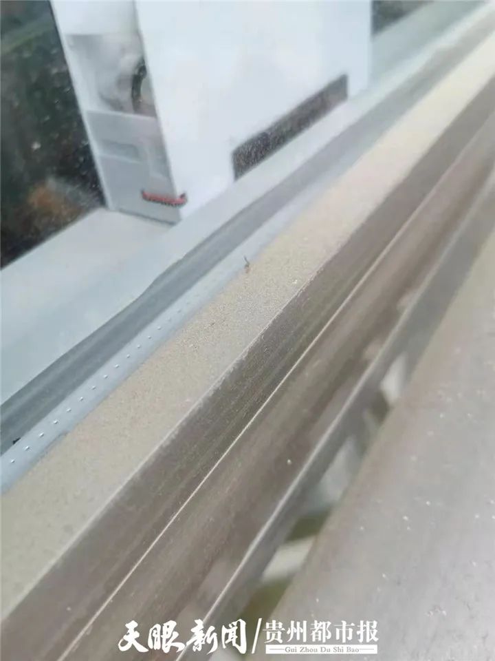 DƬ